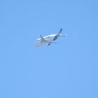 Beluga - High up in the sky
