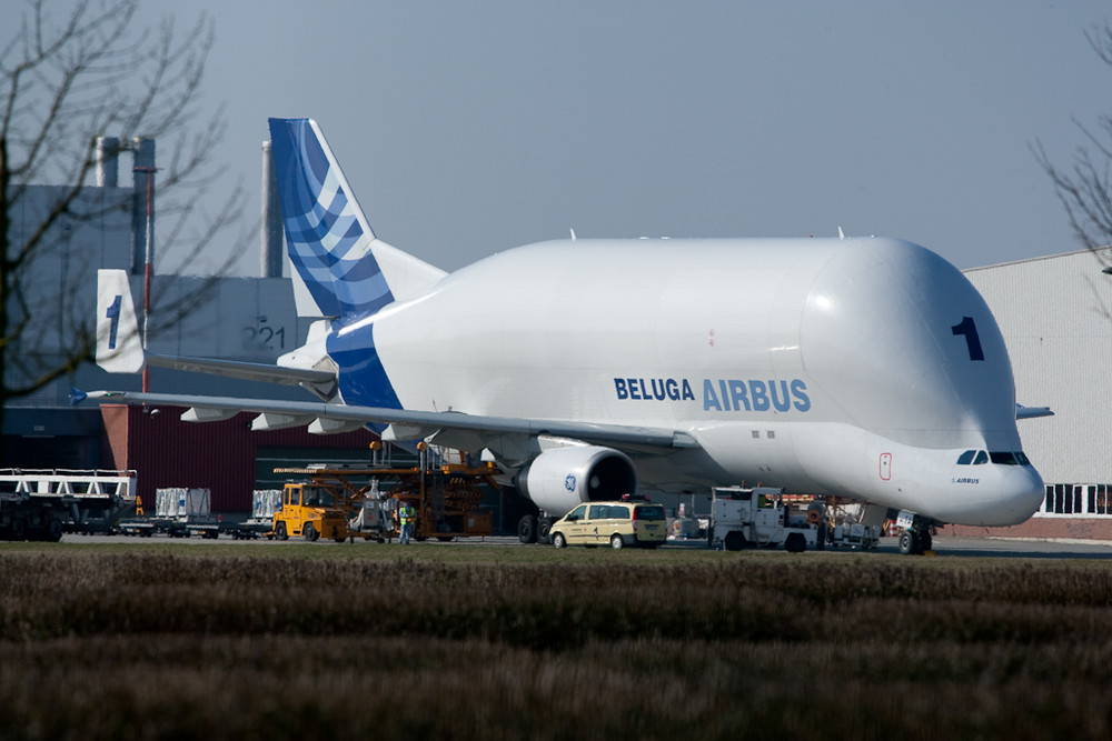 Beluga I, III