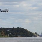 Beluga im Anflug