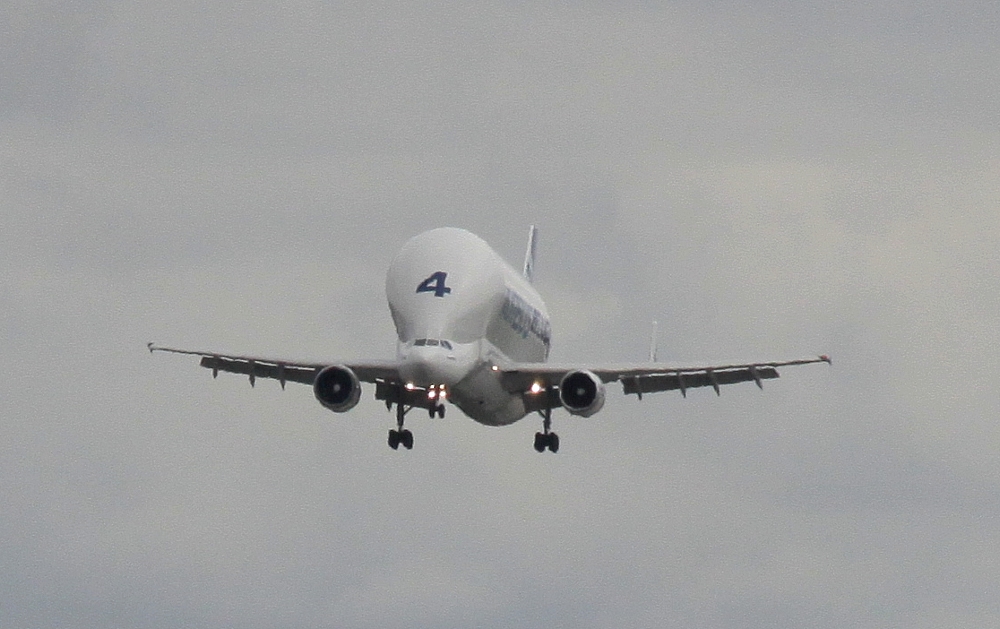 Beluga im Landeanflug