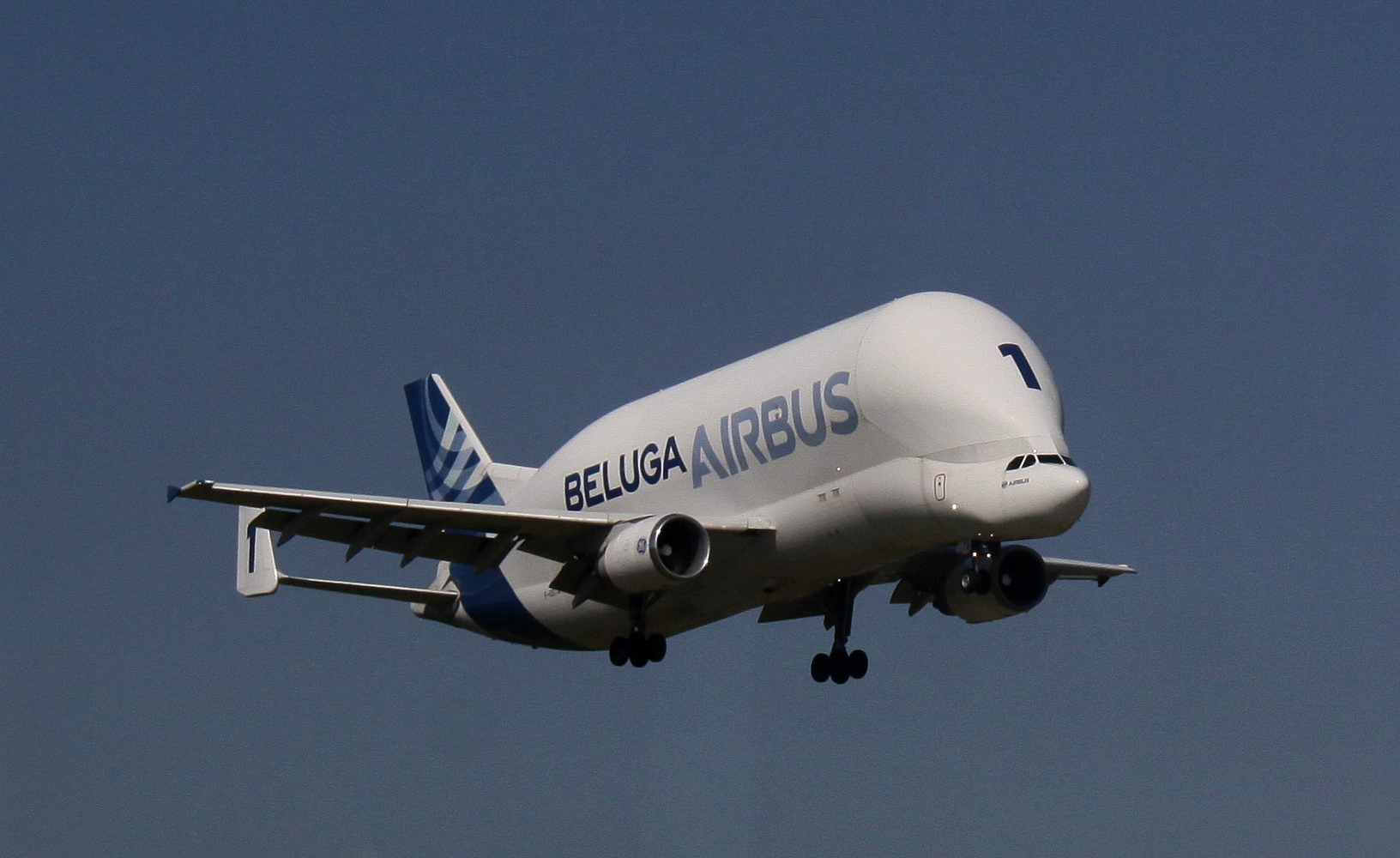 Beluga, im Landeanflug