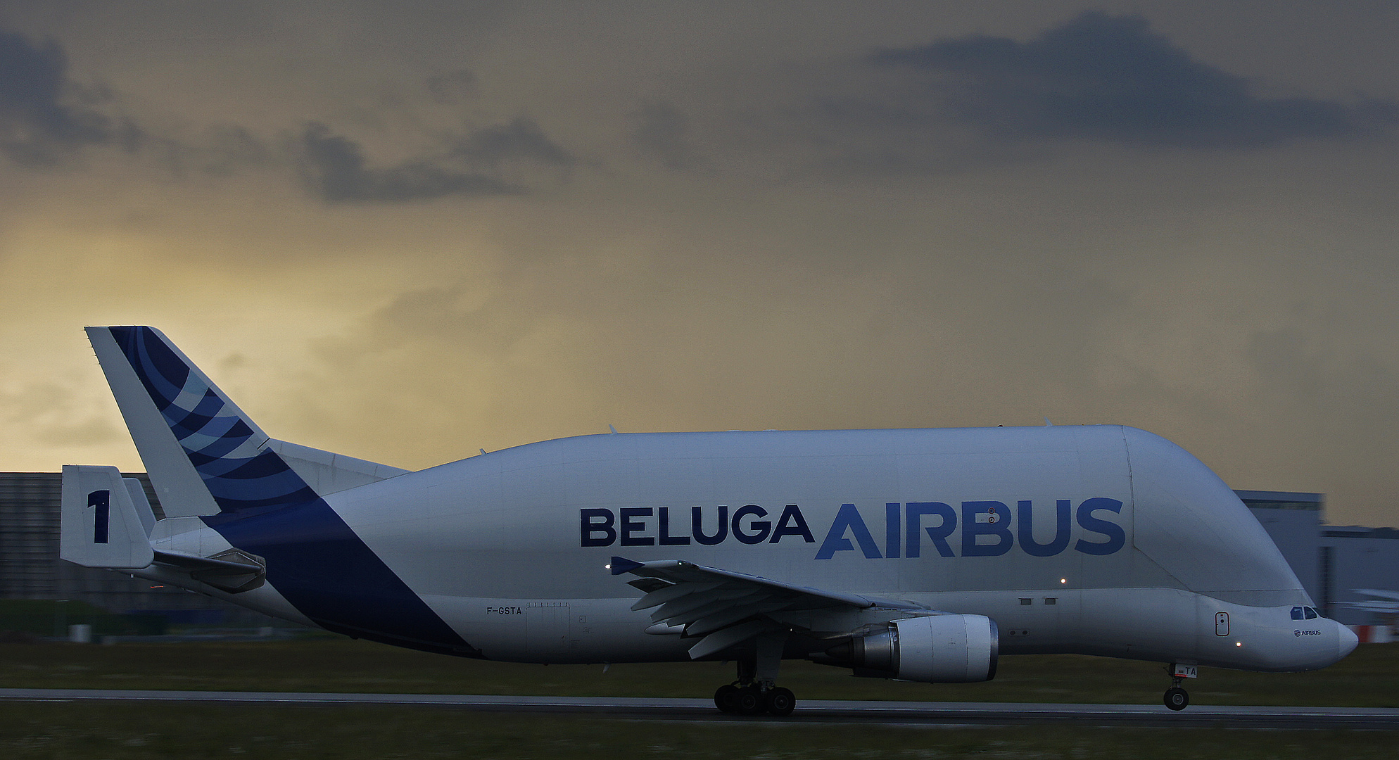 Beluga Nr.1