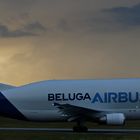 Beluga Nr.1