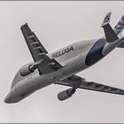 BELUGA Transportflugzeug.....