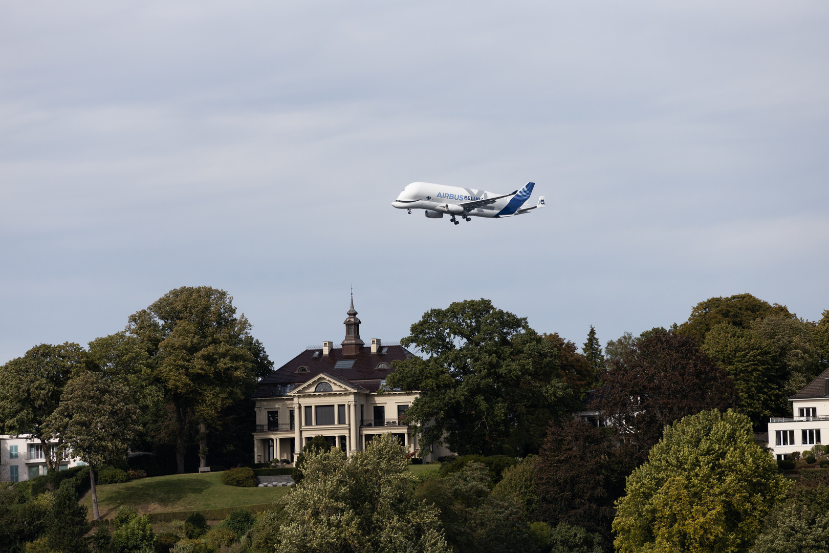 Beluga über Blankenese