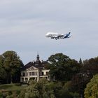 Beluga über Blankenese