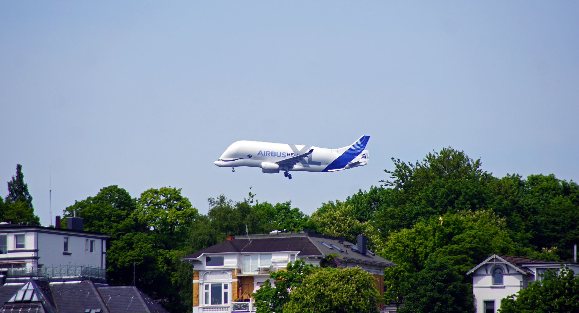 Beluga über Hamburg