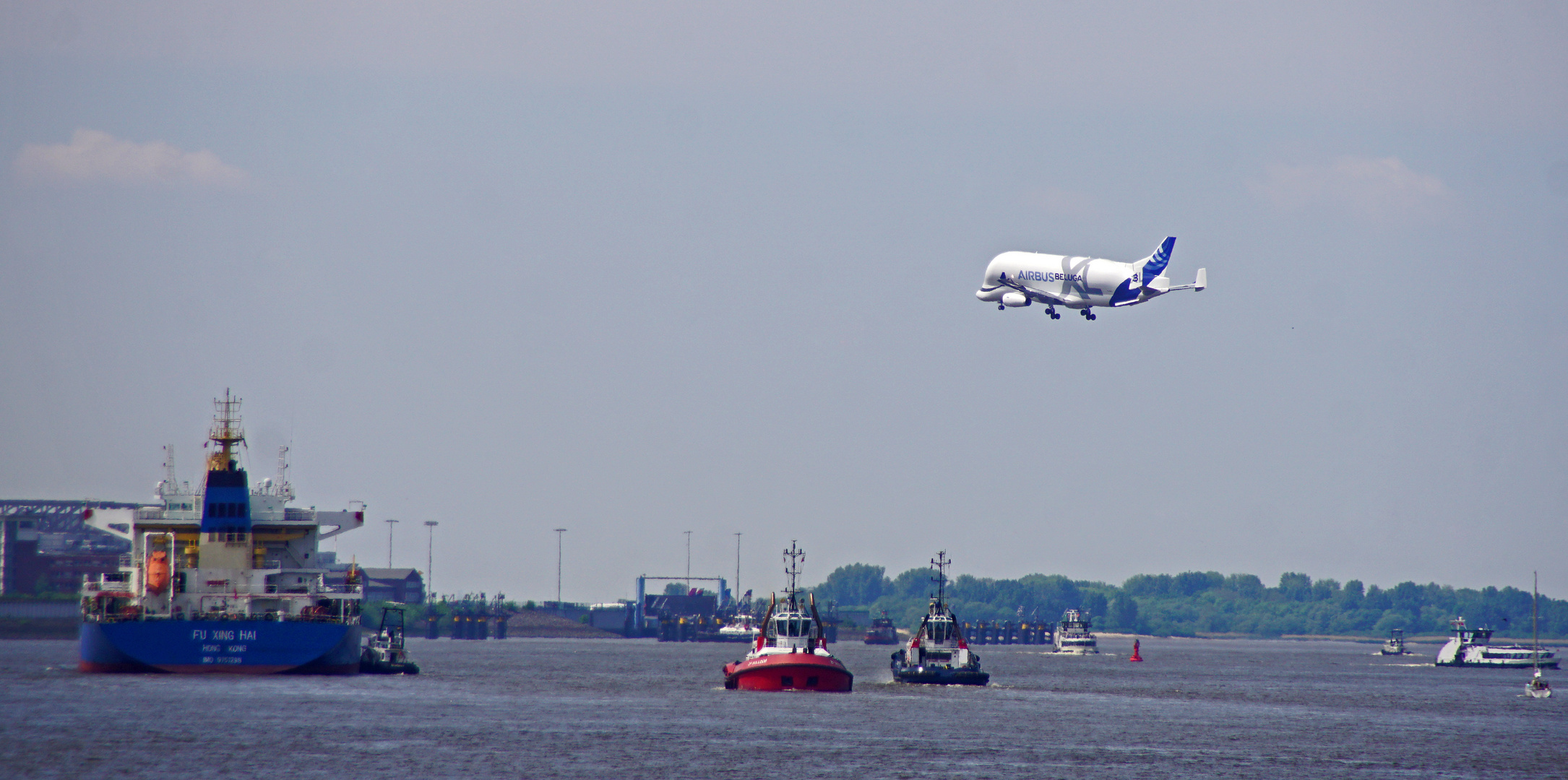 Beluga über Hamburg