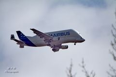 "Beluga" von Airbus (1)