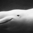 Beluga whale