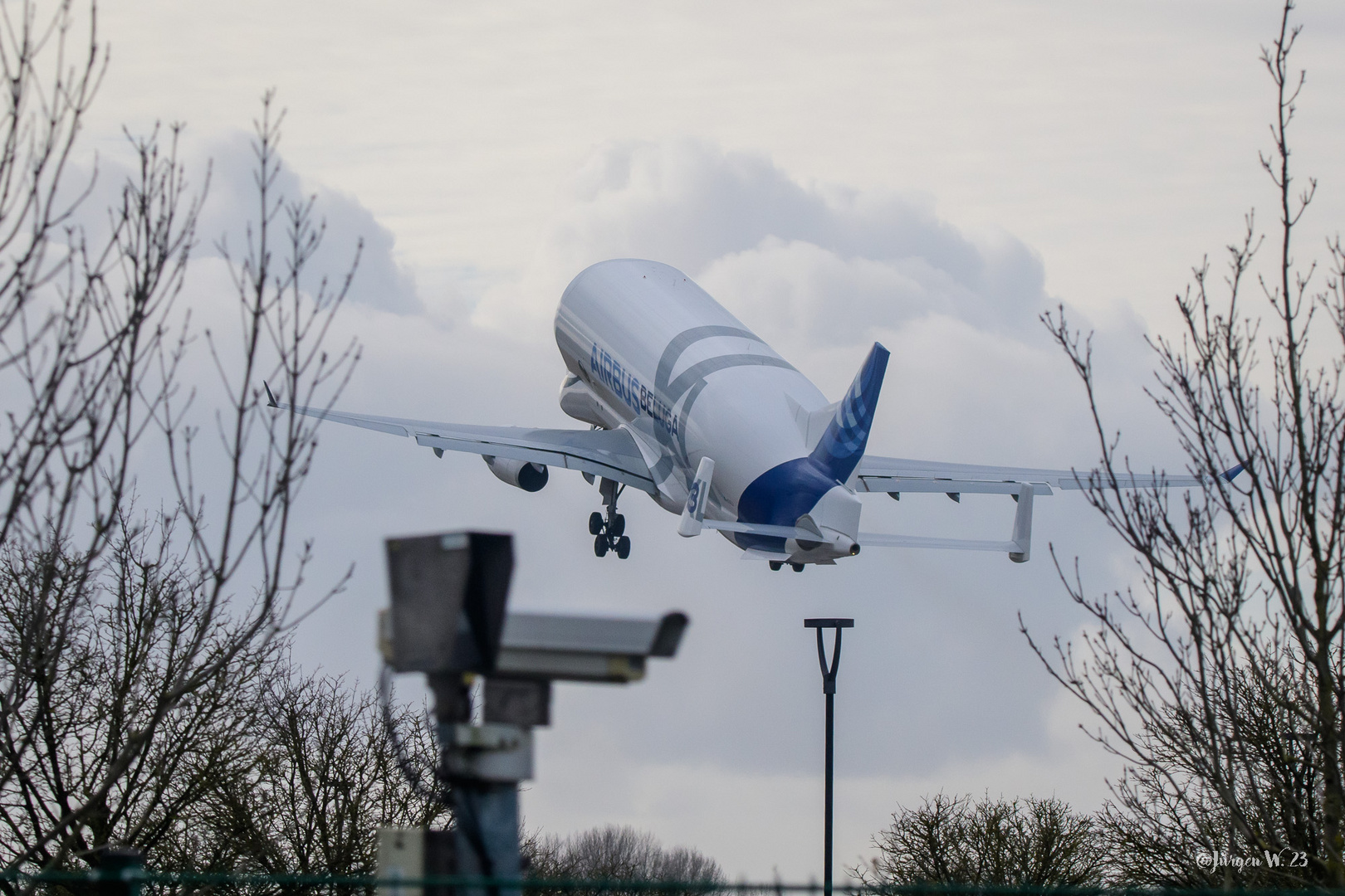 Beluga XL 3