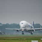 Beluga XL - Landeanflug