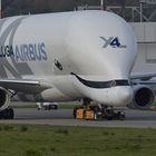 Beluga XL4