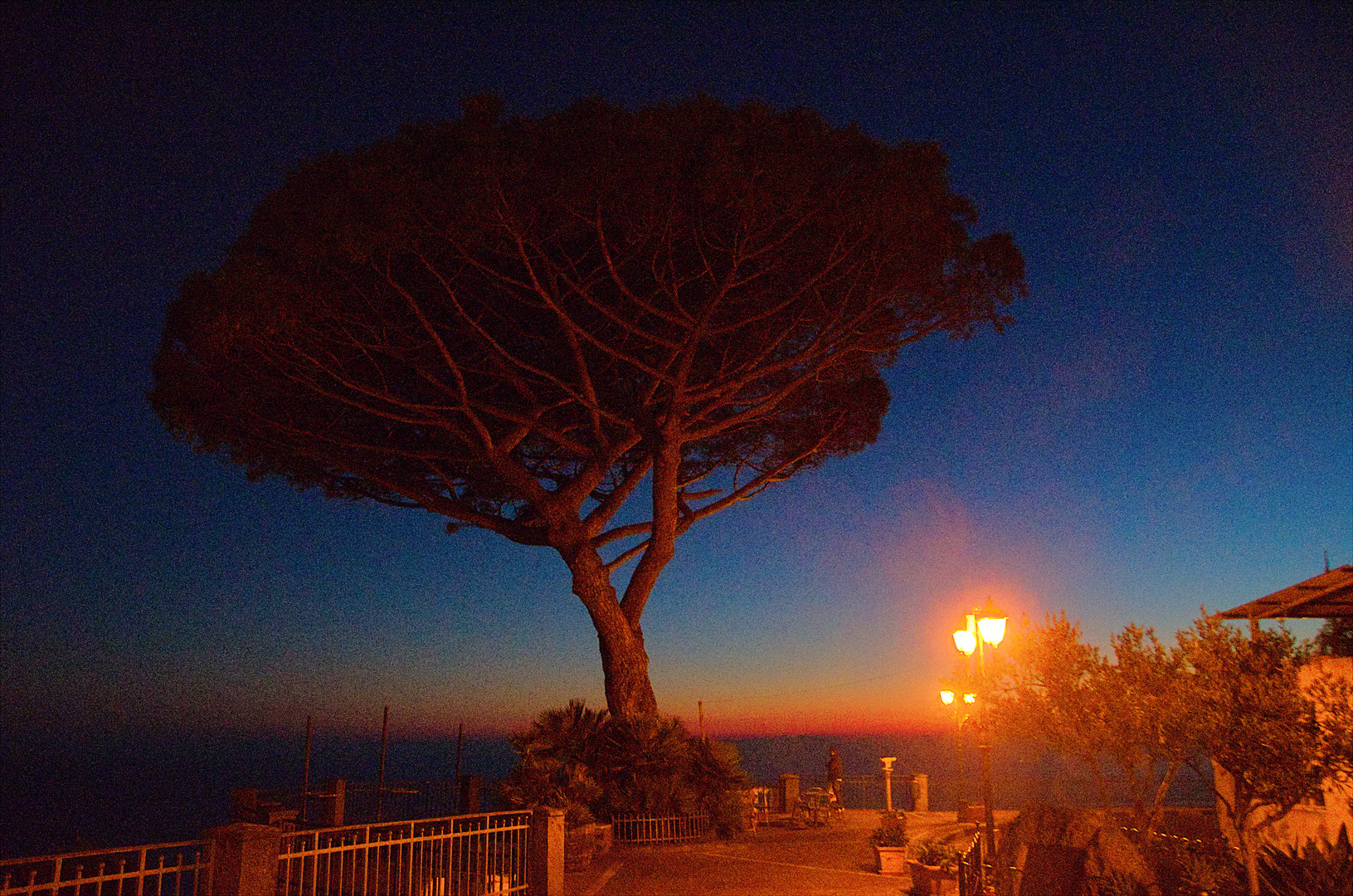 Belvedere bei Nacht