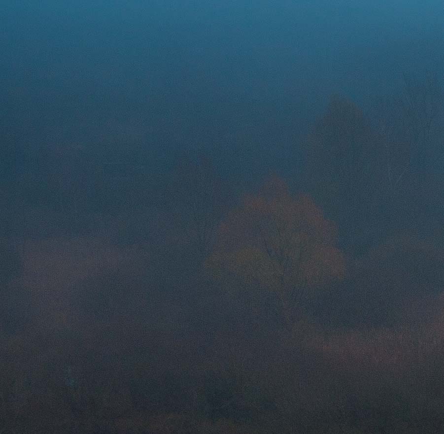 Belvédère de Vaux -par temps de brouillard