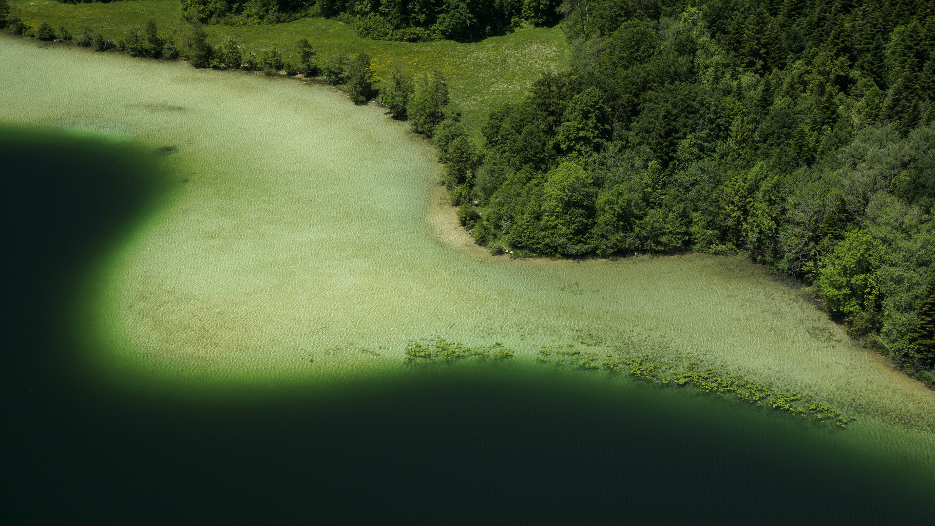 Belvédère des 4 Lacs