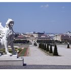 Belvedere di Vienna