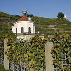 Belvedere einmal anders 