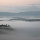 Belvedere im Nebel