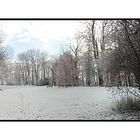 belvedere park im winter