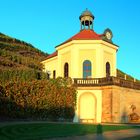 Belvedere Schloss Wackerbarths Ruhe