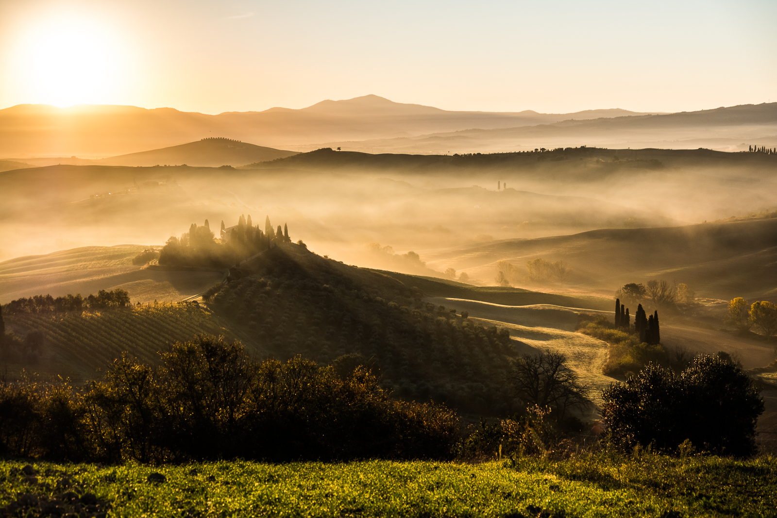 Belvedere Sunrise