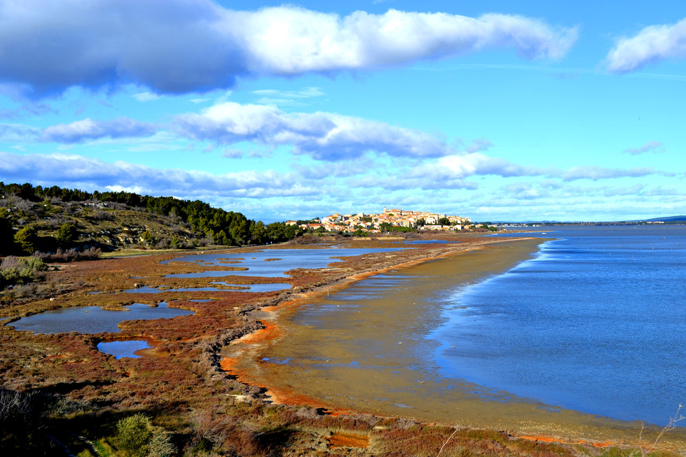 Belvédère sur l'étang de Bages