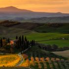 Belvedere - Val d'Orcia