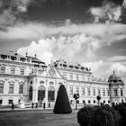 Belvedere // Vienna