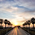 Belvedere Vittoria di Lido di Camaiore in Versilia