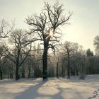 belvederer park im schnee