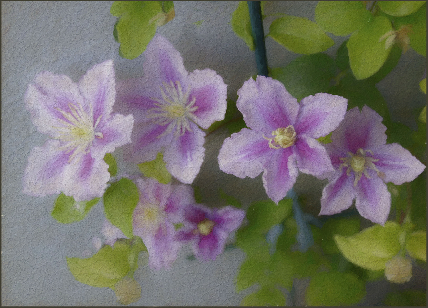 Bemalte Clematis  