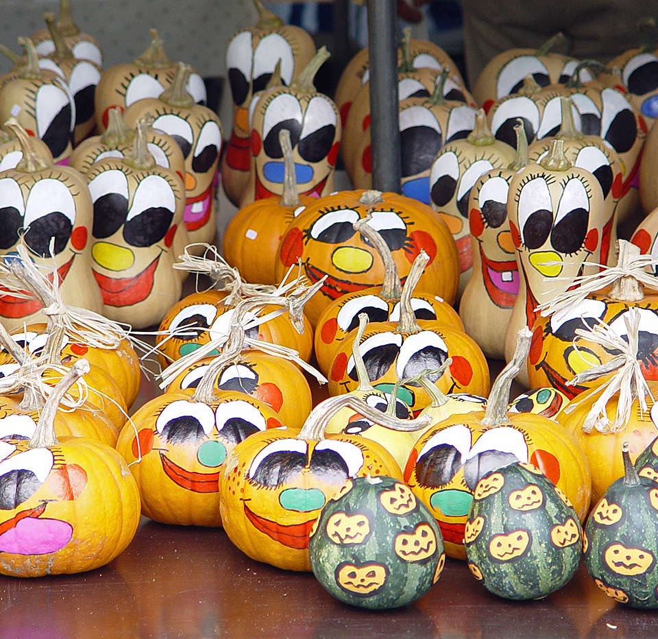 Bilder bemalte Kürbisse:  Entfache die Kreativität und verzaubere deine Herbstdekoration!