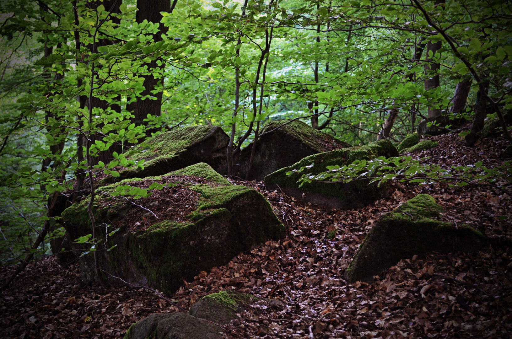 Bemooste Basaltbrocken