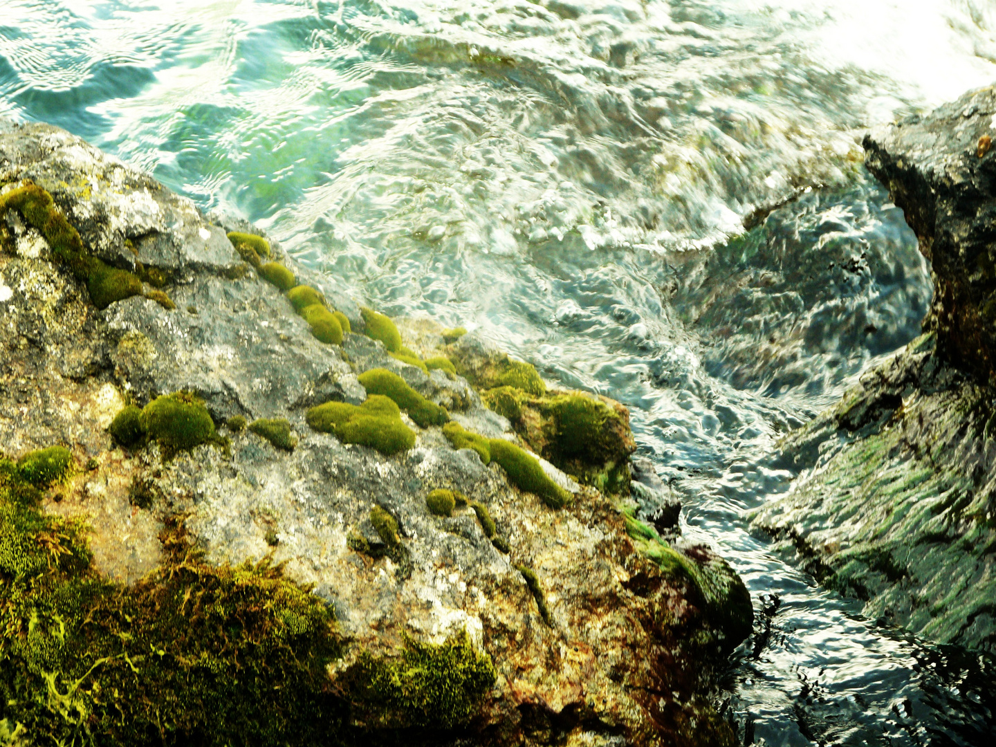 bemooster Stein trifft auf lebendiges Wasser