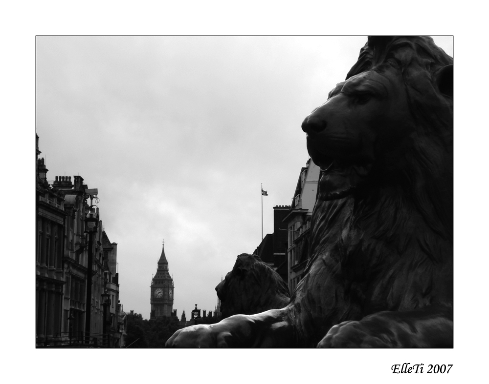 Ben and the lion