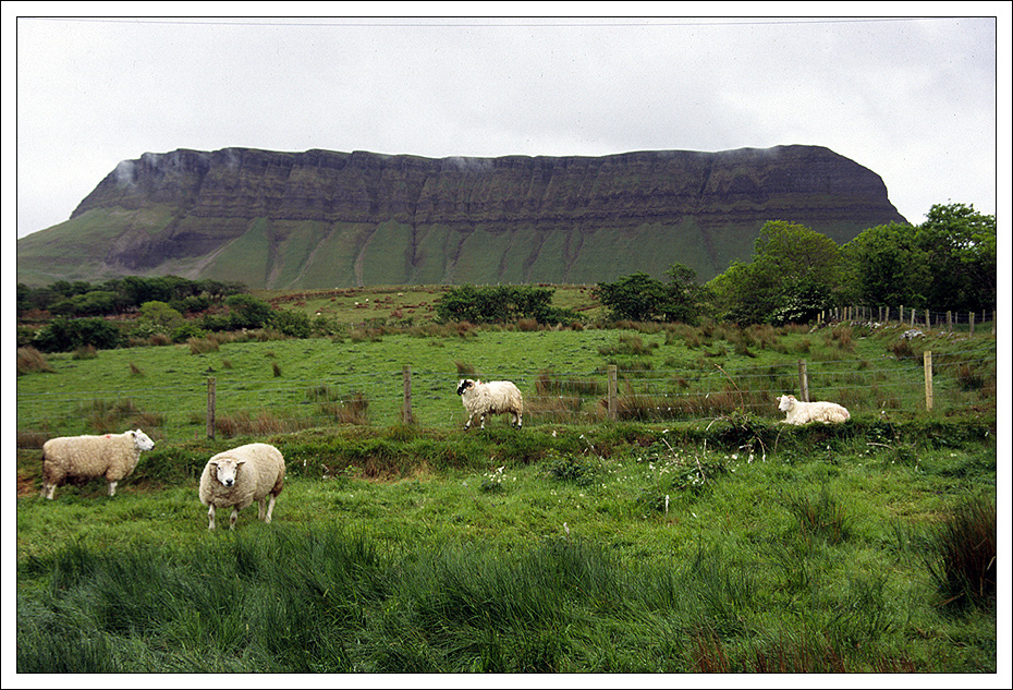 Ben Bulben im Nebel....