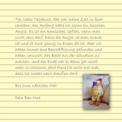 Ben Huas Corona-Tagebuch - Seite 16