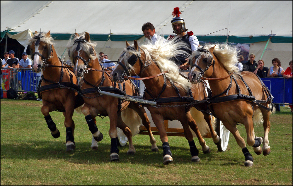 Ben Hur 2008