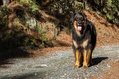 Ben in der Toscana