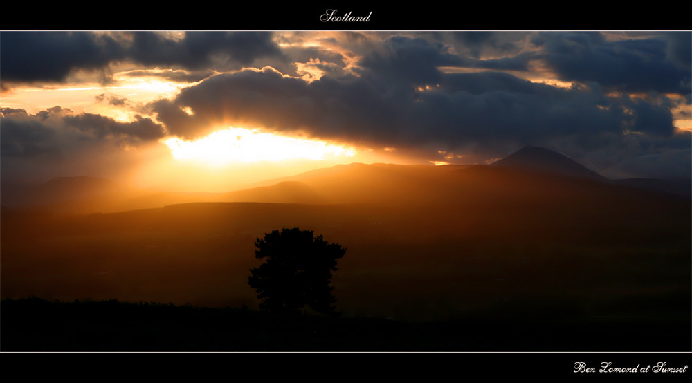 Ben Lomond at Sunset