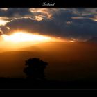 Ben Lomond at Sunset