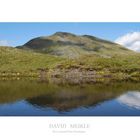 Ben Lomond from Neighbouring Ptarmigan