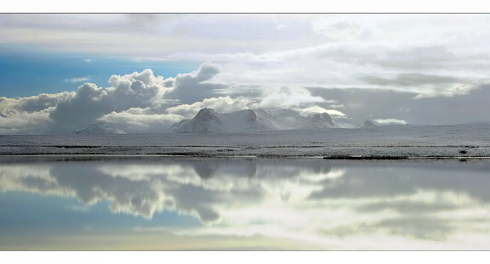 Ben Loyal