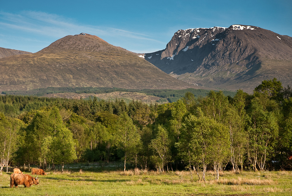 Ben Nevis View