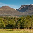 Ben Nevis View