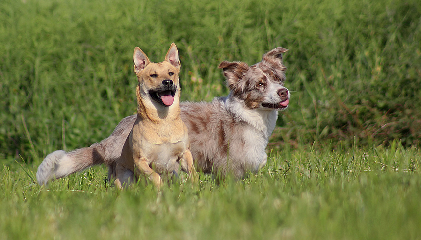 Ben und Oscar starten durch