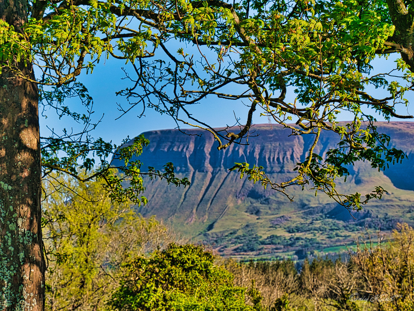 Benbulbin 2