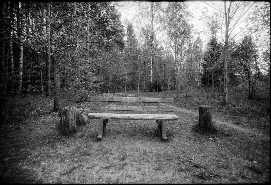 Bench