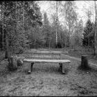 Bench